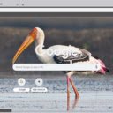 Co  screen for extension Chrome web store in OffiDocs Chromium