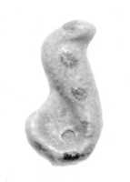 Free download Cobra amulet free photo or picture to be edited with GIMP online image editor