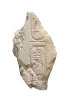 Free download Cobra, Hood (?), Aten cartouche free photo or picture to be edited with GIMP online image editor