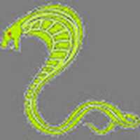 Free download Cobra Raptor Snake free photo or picture to be edited with GIMP online image editor