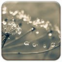 Cobweb  screen for extension Chrome web store in OffiDocs Chromium