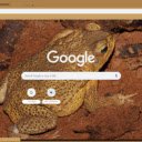 Coc  screen for extension Chrome web store in OffiDocs Chromium