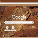Coc  screen for extension Chrome web store in OffiDocs Chromium