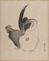 Free download Cock and Hen free photo or picture to be edited with GIMP online image editor