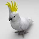 Cockatoo 3D  screen for extension Chrome web store in OffiDocs Chromium
