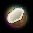 Coconote  screen for extension Chrome web store in OffiDocs Chromium