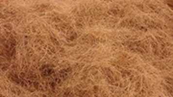 Free download Coconut Fibre free photo or picture to be edited with GIMP online image editor