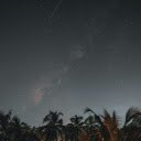 Coconut row at night  screen for extension Chrome web store in OffiDocs Chromium