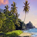 Téléchargement gratuit Coconut Tree - photo ou image gratuite à éditer avec l'éditeur d'images en ligne GIMP