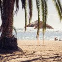 coconut trees and beach  screen for extension Chrome web store in OffiDocs Chromium