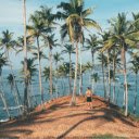 Coconut trees growing on the beach  screen for extension Chrome web store in OffiDocs Chromium
