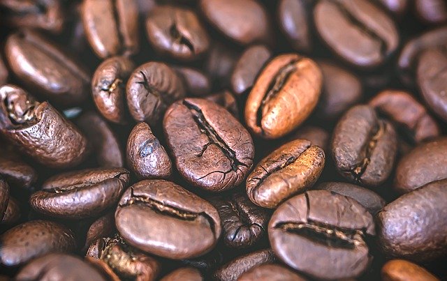 Descarga gratuita de granos de café, semillas de café, semillas, imágenes gratuitas para editar con el editor de imágenes en línea gratuito GIMP.