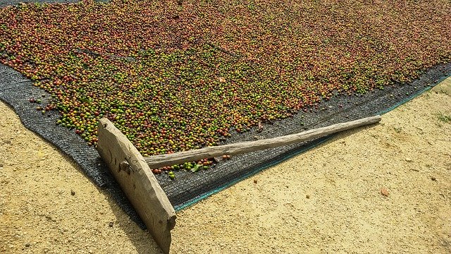 Free download coffee coffee fruit fruits cafe free picture to be edited with GIMP free online image editor