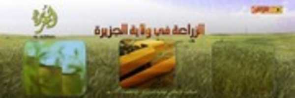 Free download COi Hi CUw AIWg Nd free photo or picture to be edited with GIMP online image editor