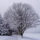 Cold winter  screen for extension Chrome web store in OffiDocs Chromium