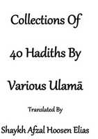 Free download Collection Of 40 Hadith By Various Ulama free photo or picture to be edited with GIMP online image editor