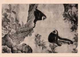 Free download Collection of Chinese Post Cards free photo or picture to be edited with GIMP online image editor