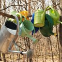 Collection of watering cans  screen for extension Chrome web store in OffiDocs Chromium