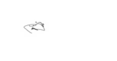 জিআইএমপি অনলাইন ইমেজ এডিটর দিয়ে এডিট করার জন্য বিনামূল্যের ছবি বা ছবি বিনামূল্যে ডাউনলোড করুন