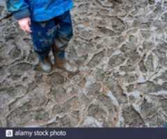 Descarga gratuita College Green Lawn reducido a un baño de barro después de la huelga escolar de Greta Thunberg y la marcha por el clima en un día húmedo en febrero de 2020 foto o imagen gratis para editar con el editor de imágenes en línea GIMP