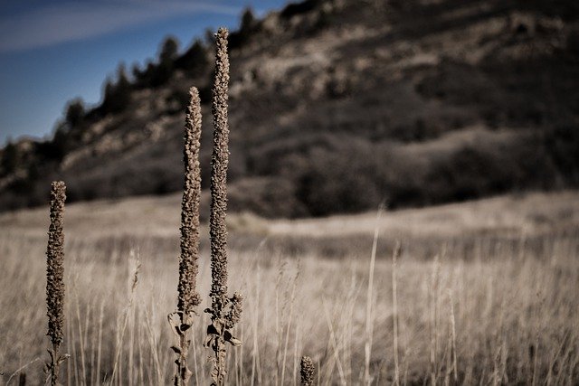 GIMP বিনামূল্যের অনলাইন ইমেজ এডিটর দিয়ে সম্পাদিত করা হবে Colorado পর্বত পরিসরের বিনামূল্যের ছবি বিনামূল্যে ডাউনলোড করুন