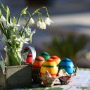 Colorful eggs next to the flowerpot  screen for extension Chrome web store in OffiDocs Chromium