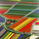 Colourful Fields-scherm voor extensie Chrome-webwinkel in OffiDocs Chromium