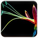 Colorful Flower  screen for extension Chrome web store in OffiDocs Chromium