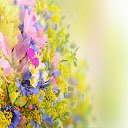 Colorful Flowers  screen for extension Chrome web store in OffiDocs Chromium