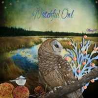 Free download Color Gradient CH @ DT; Owl Hand Painted By Me From Scratch... free photo or picture to be edited with GIMP online image editor