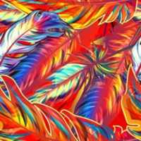 Free download colorido free photo or picture to be edited with GIMP online image editor