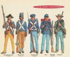 Free download Colour Plates of Military Branch and Rank Insignia free photo or picture to be edited with GIMP online image editor