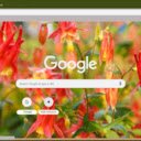 Columbine  screen for extension Chrome web store in OffiDocs Chromium