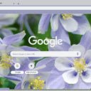 Columbine Blue  screen for extension Chrome web store in OffiDocs Chromium