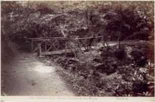 Free download Colwyn Bay. Rustic Bridge in the Wood free photo or picture to be edited with GIMP online image editor
