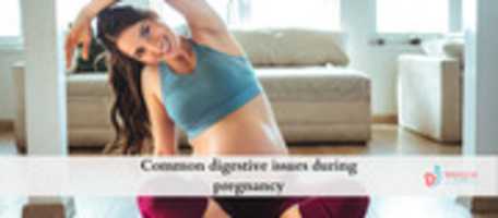 Free download Common Digestive Issues During Pregnancy free photo or picture to be edited with GIMP online image editor