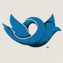CommonFollowing  screen for extension Chrome web store in OffiDocs Chromium