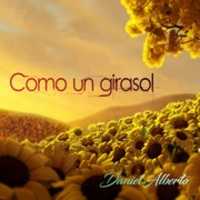 Free download Como Un Girasol TAPA DISCO free photo or picture to be edited with GIMP online image editor