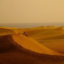 CON CAT Theme  screen for extension Chrome web store in OffiDocs Chromium