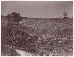 Bezpłatne pobieranie Confederate Prisoners w Belle Plain, 12 maja darmowe zdjęcie lub obraz do edycji za pomocą internetowego edytora obrazów GIMP