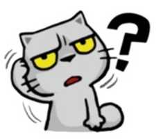 Free download Confused Cat free photo or picture to be edited with GIMP online image editor
