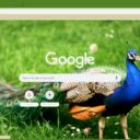 Cong  screen for extension Chrome web store in OffiDocs Chromium
