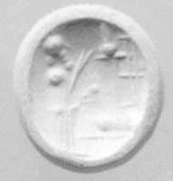 Free download Conoid seal with flattened top free photo or picture to be edited with GIMP online image editor