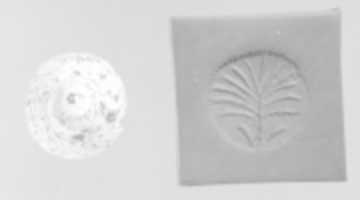 Free download Conoid seal with perforated top knob free photo or picture to be edited with GIMP online image editor