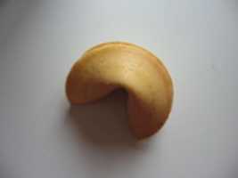 Free download cookie microscopic images free photo or picture to be edited with GIMP online image editor
