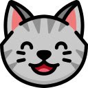 Cookies Copier  screen for extension Chrome web store in OffiDocs Chromium