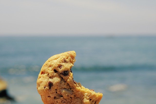 Gratis download cookie zee oceaan eet gegeten hap gratis foto om te bewerken met GIMP gratis online afbeeldingseditor