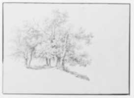 Free download Copse of Trees on a Riverbank (from Sketchbook) free photo or picture to be edited with GIMP online image editor