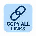 Copy All Links  screen for extension Chrome web store in OffiDocs Chromium