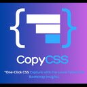 CopyCSS One click style copying for developers.  screen for extension Chrome web store in OffiDocs Chromium